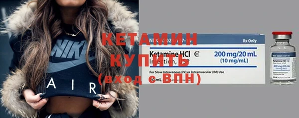 сатива Вязьма