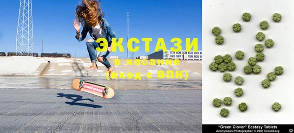 амф Ельня