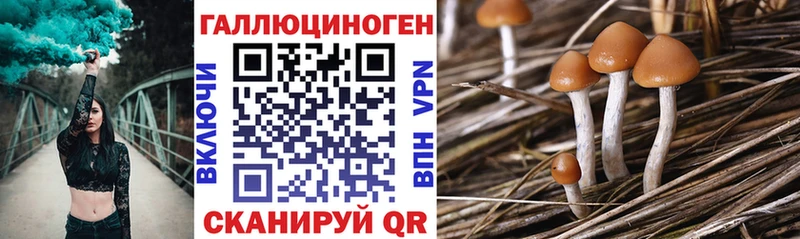 Галлюциногенные грибы Cubensis  MEGA зеркало  Поворино 